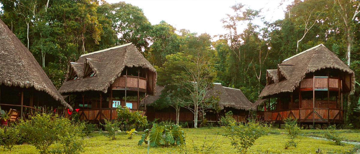 Jungle Trip Peru